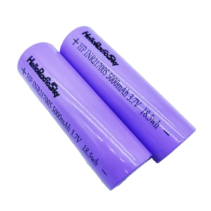 HelloRadioSky 21700 3.7V 5000mAh Battery (2 Pcs) for V12 V12 Max Radio Transmitter